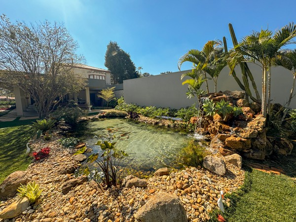 Limpeza de lago com carpas