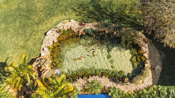 Projeto para construção de lago ornamental